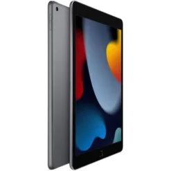 APPLE iPad 9 (2021) 10,2" 64Go Gris sidéral Reconditionné grade éco