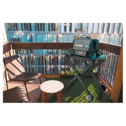 Barbecue de table NINJA WOODFIRE OG701EU