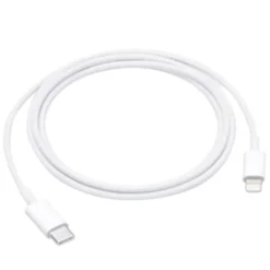 Câble Lightning / USB-C APPLE 1M Blanc