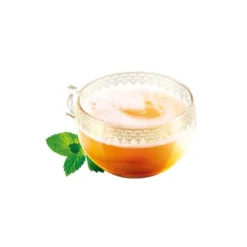 Dosettes thé DOLCE GUSTO Marrakech Tea