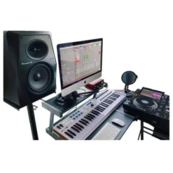 Enceinte Amplifiée PIONEER DJ VM-50