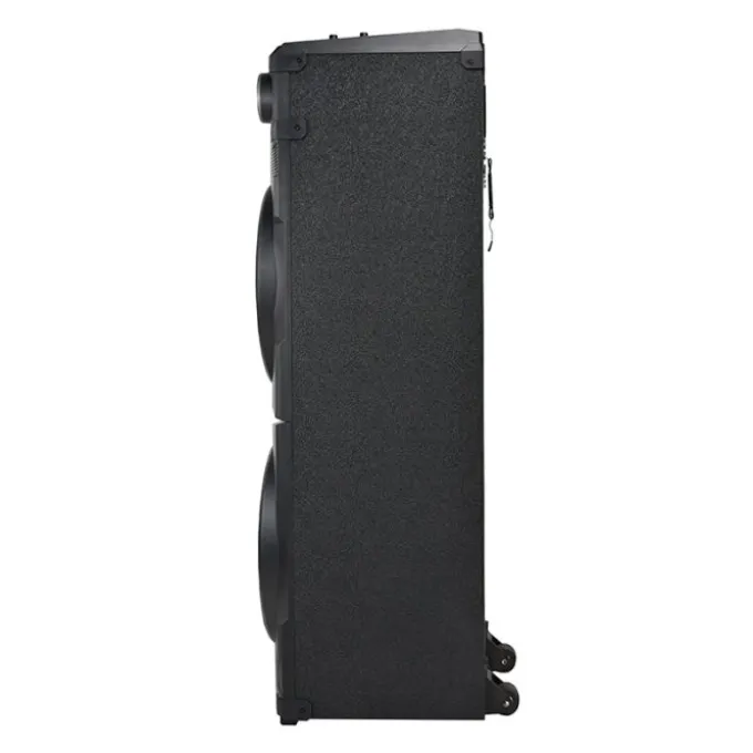 Enceinte sono EDENWOOD MAXISOUND