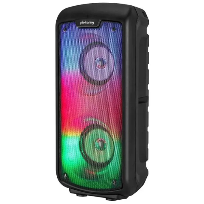Enceinte sono PICKERING PARTYDJOON 224
