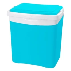 Glacière 25L + 2 pains de glace 350g