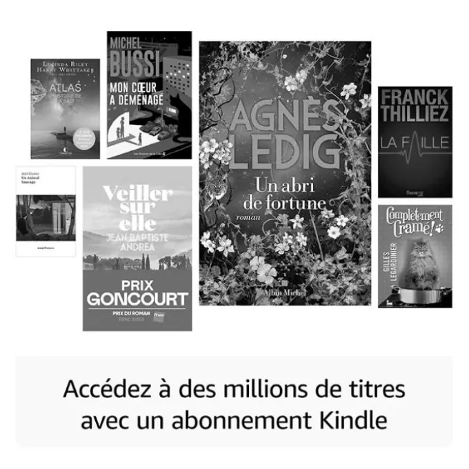 Liseuse AMAZON Kindle Paperwhite SE (2024) 32Go Rose