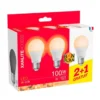 Lot de 3 Ampoules XANLITE E27 100W 3000K