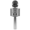 Micro BOOMTONEDJ Star Sing