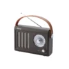 Radio HALTERREGO vintage marron