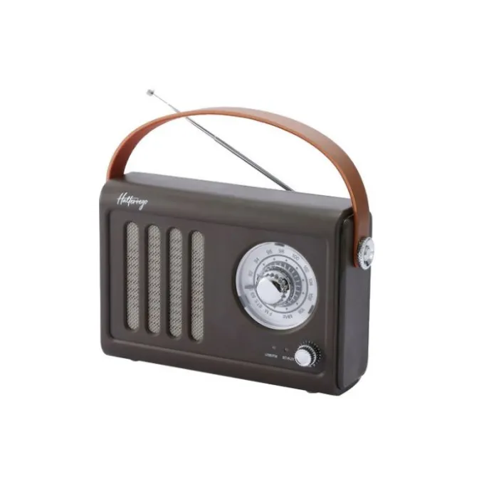Radio HALTERREGO vintage marron