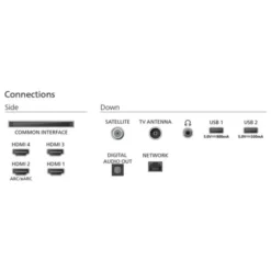 TV OLED 55