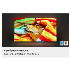 TV OLED 55