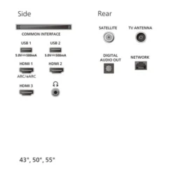 TV QLED 55