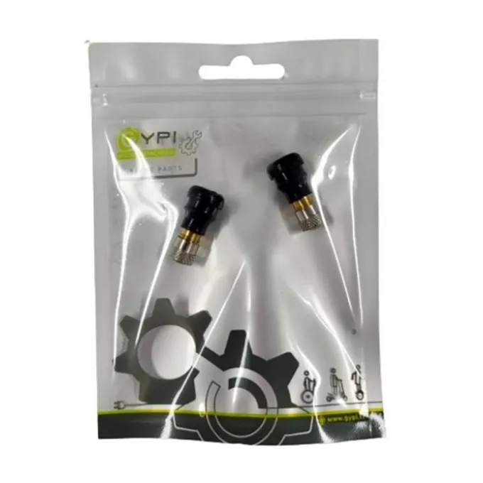 Valve universelle GYPI pour pneu tubeless